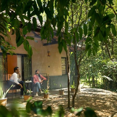 Klov Resort & Spa Wayanad Zewnętrze zdjęcie