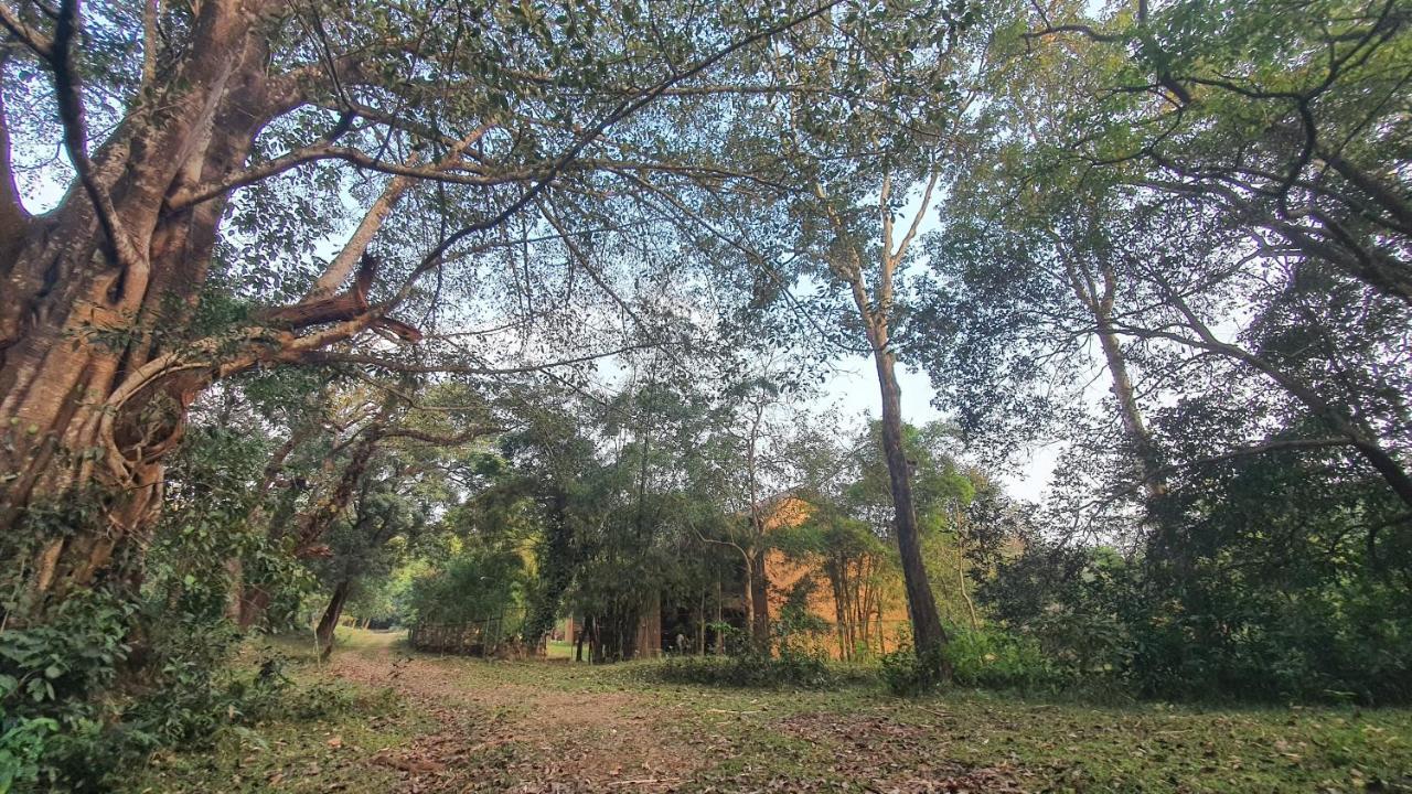 Klov Resort & Spa Wayanad Zewnętrze zdjęcie
