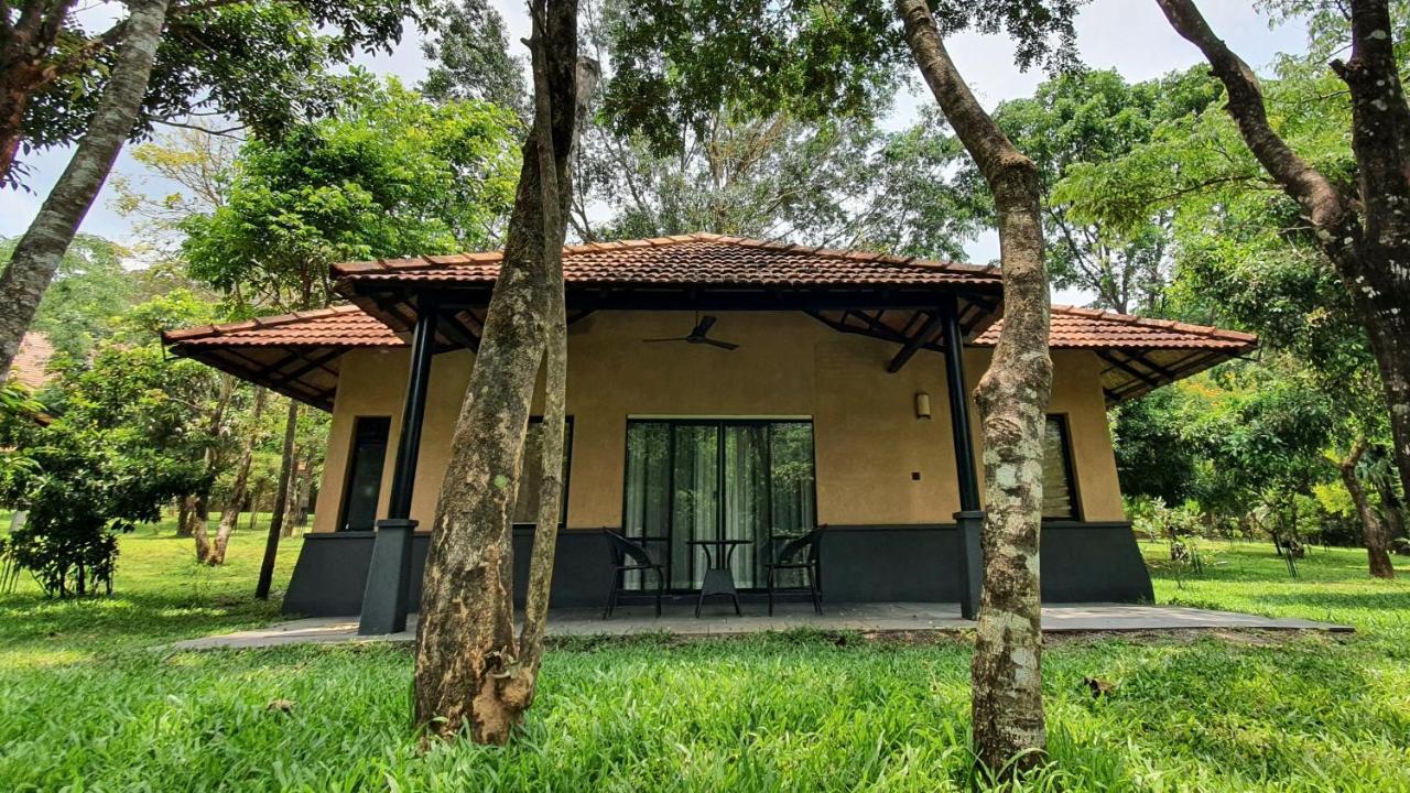 Klov Resort & Spa Wayanad Zewnętrze zdjęcie